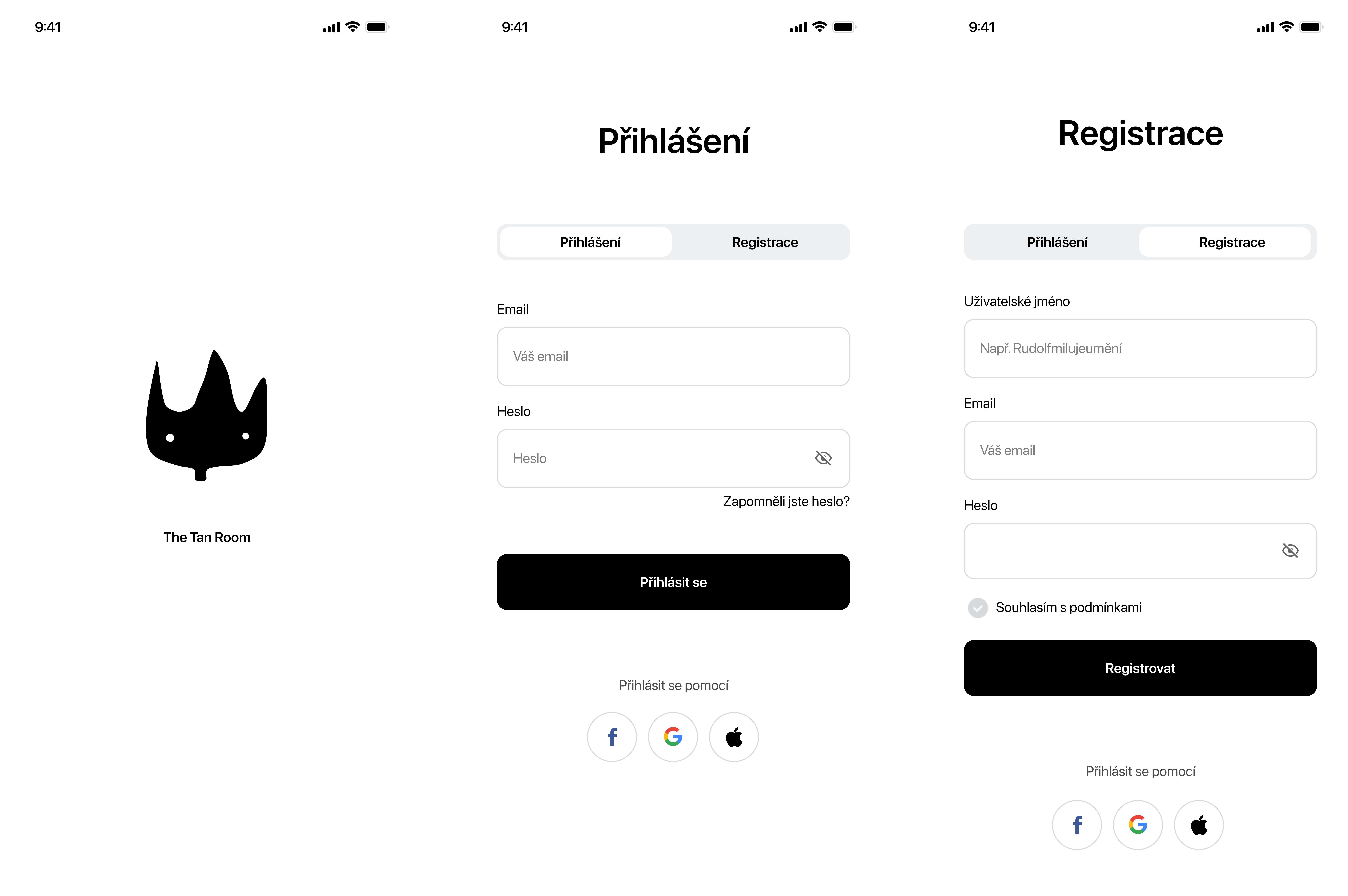 sign in or log in window